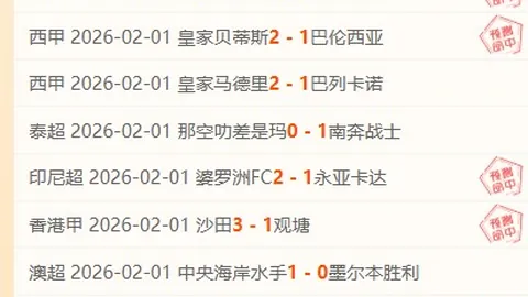 那不勒斯意甲领先地位不稳，连续四轮不胜丢掉榜首之位